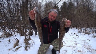 Рыбалка на налима!