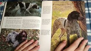 АСМР ЧТЕНИЕ