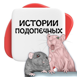 Истории наших подопечных