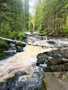 Путешествия