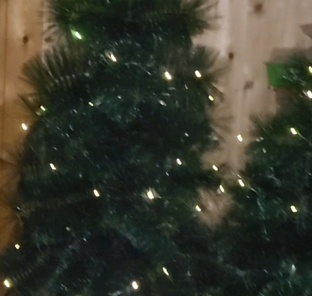 Влоги.Январь2025 год.