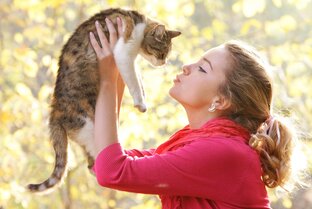 О кошках