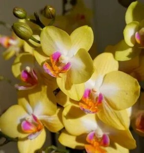 Будут помещены стихи, информация о погоде, короткие  рассказы о жизни интересных