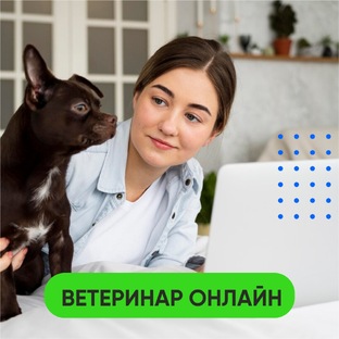 Ветеринарная онлайн-консультация