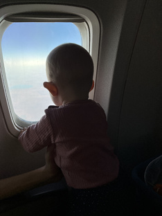 Путешествуем