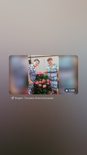 Солнце светит но не греет 