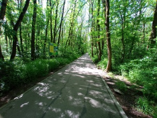 Леса, парки, клумбы