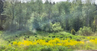 Молчаливый влог