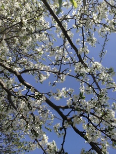 Полезные советы для укрепления в вере