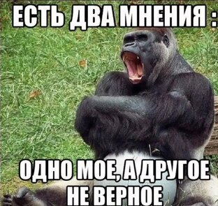Моё мнение