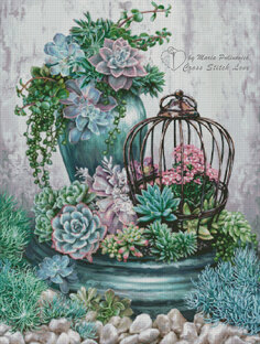 Сад Суккулентов