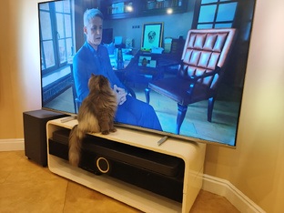 Нумеролог, который спасает кошек