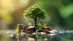 Психологический взгляд на деньги....