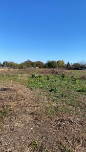 Расчистка участка под виноградник  🍇