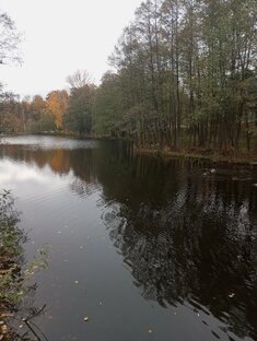 Пейзажные песни... 