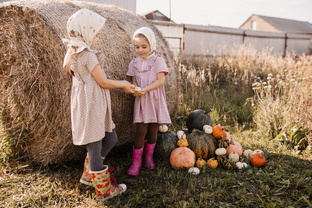 Красивые ролики