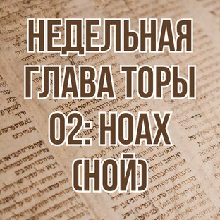 Недельная глава Торы 02: Ноах (Ной) (комментарии)