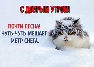 новая тест