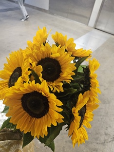 Летние путешествия