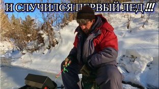 Зимний сезон 2024 - 2025г.