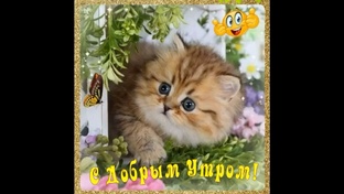 С Добрым Утром, Доброй Ночи,Пожелания