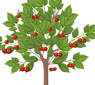 Не совсем о зрелости