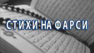 Стихи о любви и жизни на фарси