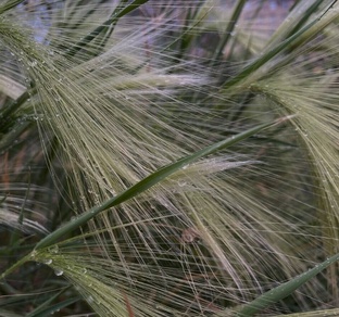 #ингафотографирует2