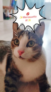 💋✨МилашиКей✨
