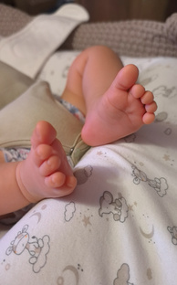 Развитие малыша 0-12 мес