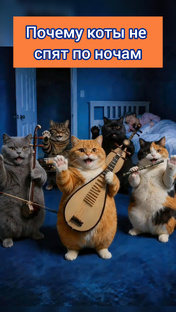 Почему коты не спят по ночам