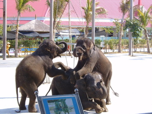 Путешествия