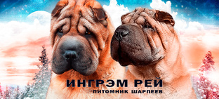 Видео зарисовки