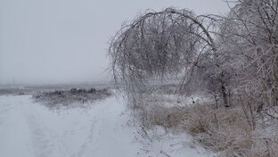 Ледяной дождь. Стихи