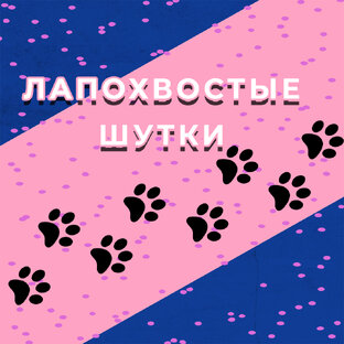 ЛапоХвостые  Шутки