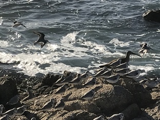 Образование