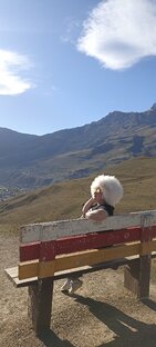 Это Кавказ ⛰️🍁💛💚💙