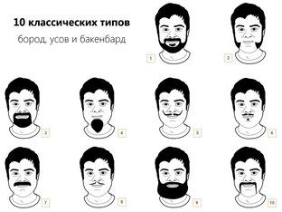 Борода 