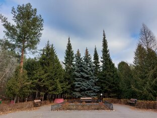 Парки, дендрарии, ботанические сады, ООПТ и другие места