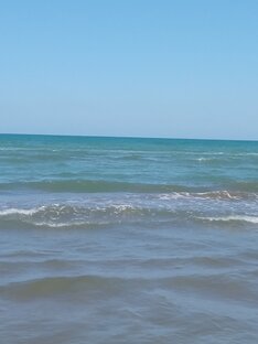 Путешествия