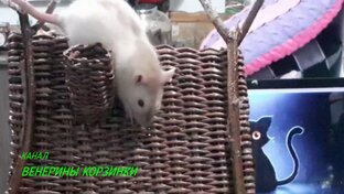 Домик Бабы Яги из бумажной лозы