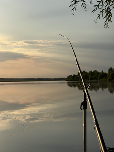 Тонкости ловли: от снасти до поклевки 