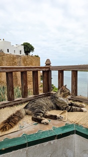 Марокко 🇲🇦