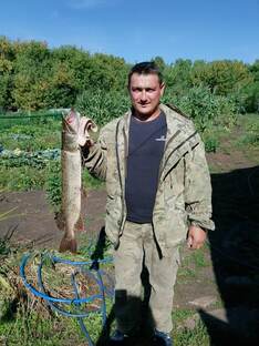 Трофеи рыбалки.