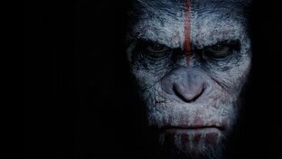 Планета обезьян