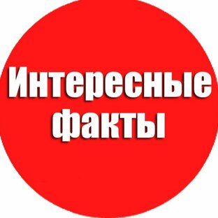Видеоролики