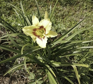 Наташкина Удачка