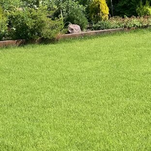 Газонные истории