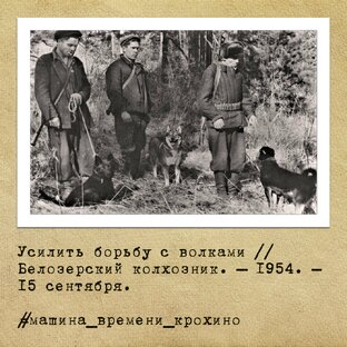 Листая старые газеты