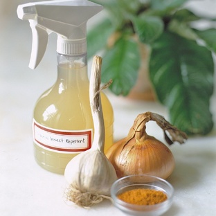 Народные средства